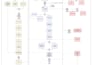 create bpmn process maps and diagrams for your business workflow